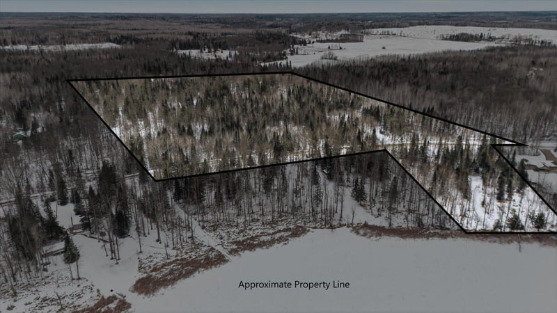 42585 N Little Turtle Lake Rd, Marcell, MN 56657
