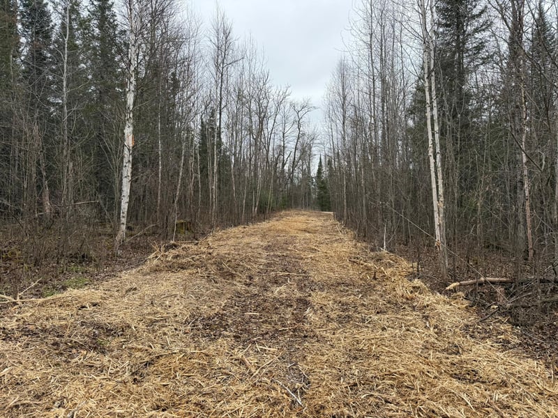 42585 N Little Turtle Lake Rd, Marcell, MN 56657