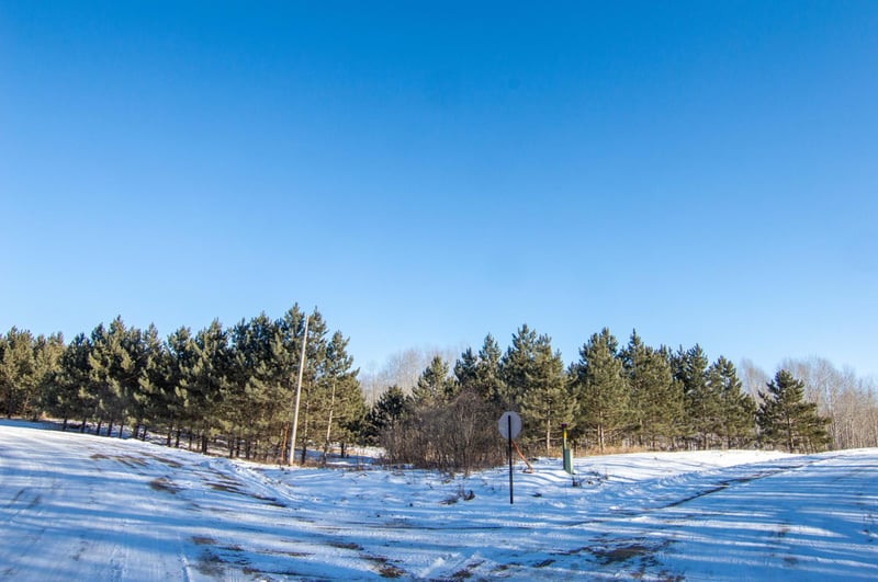 TBD 310th St, Deer Creek, MN 56527
