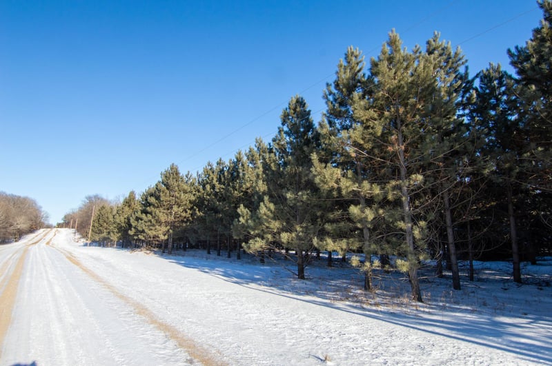 TBD 310th St, Deer Creek, MN 56527