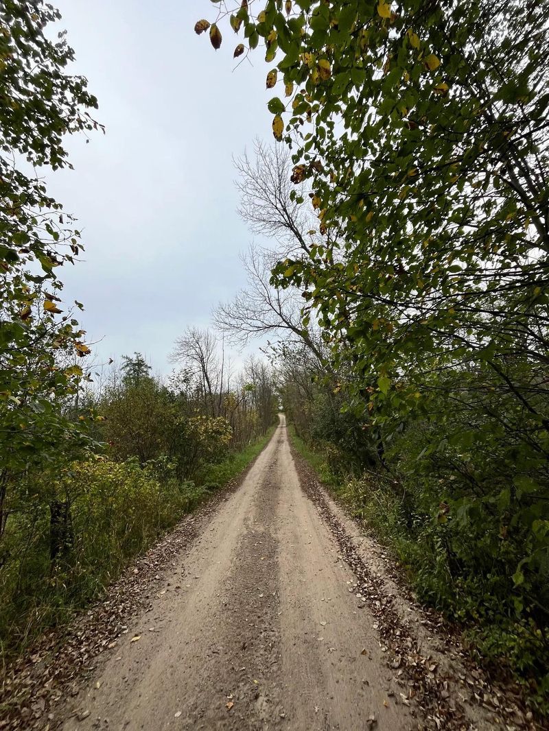 30423 Grosbeak Rd, Long Prairie, MN 56347