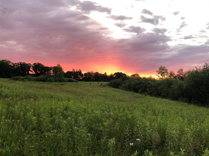 TBD Dixon Line Rd, Finlayson, MN 55735