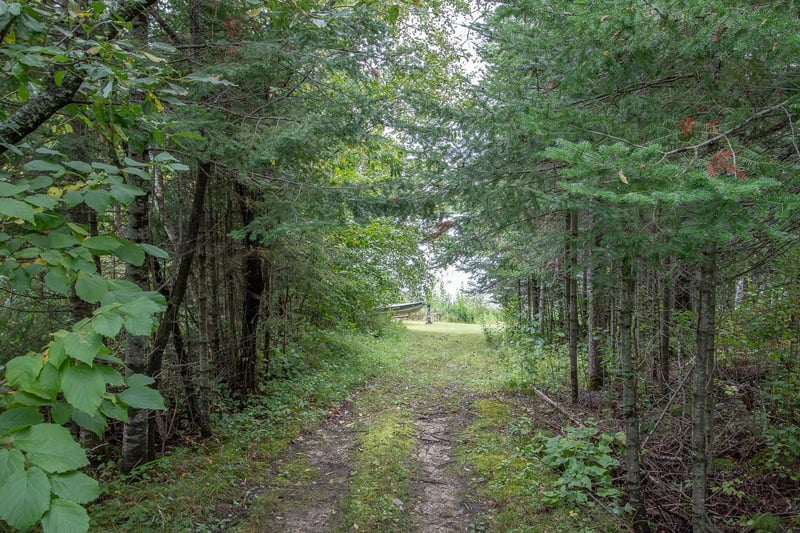 TBD Libby Lake Rd, Nashwauk, MN 55769