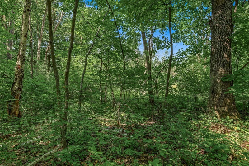 25179 Itasca Ave, Forest Lake, MN 55025