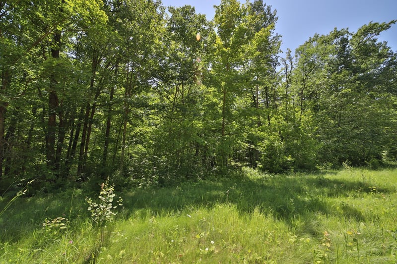 Tract C Olander Rd, Crosby, MN 56441