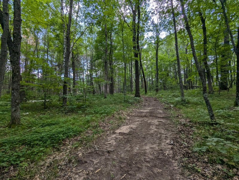 Lot 2 Fosmo, Webster, WI 54893