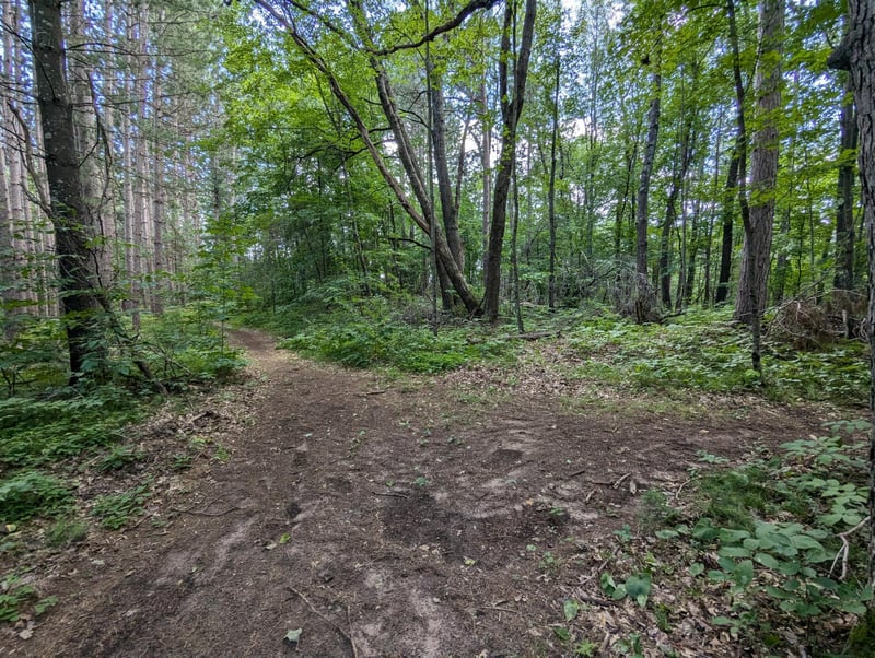 Lot 2 Fosmo, Webster, WI 54893