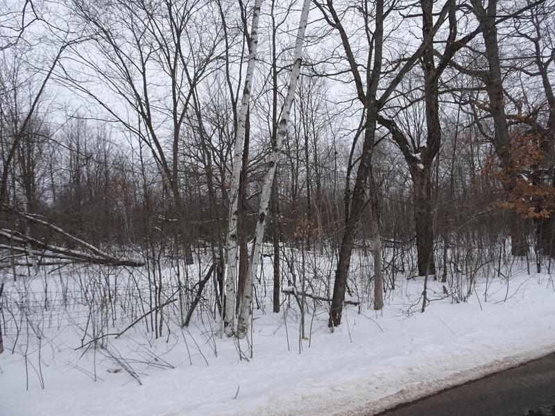 XXX 150th St, Milltown, WI 54858