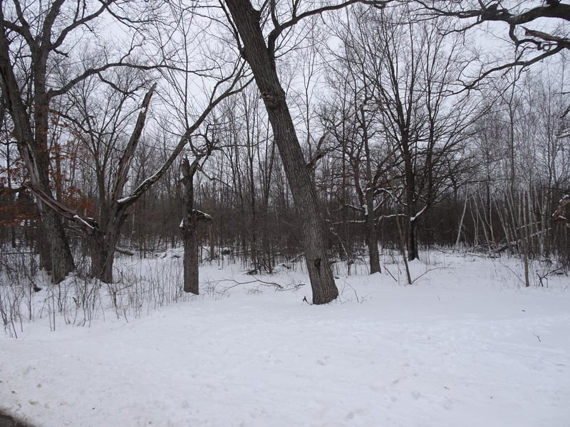 XXX 150th St, Milltown, WI 54858