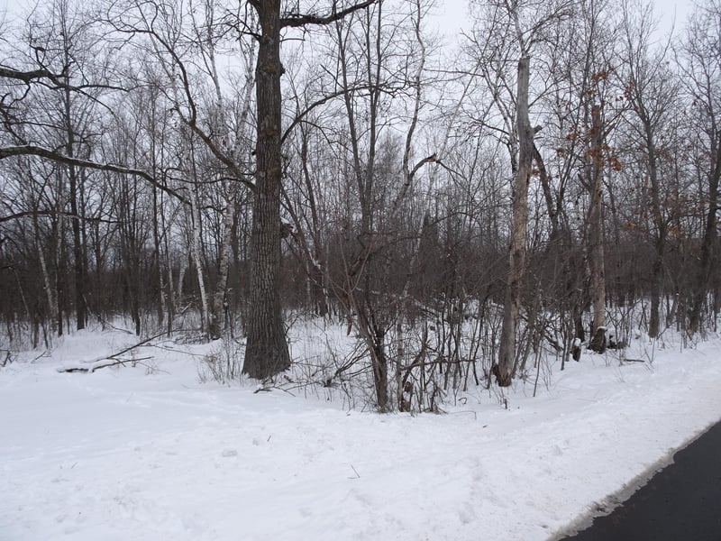 XXX 150th St, Milltown, WI 54858