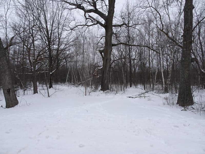 XXX 150th St, Milltown, WI 54858
