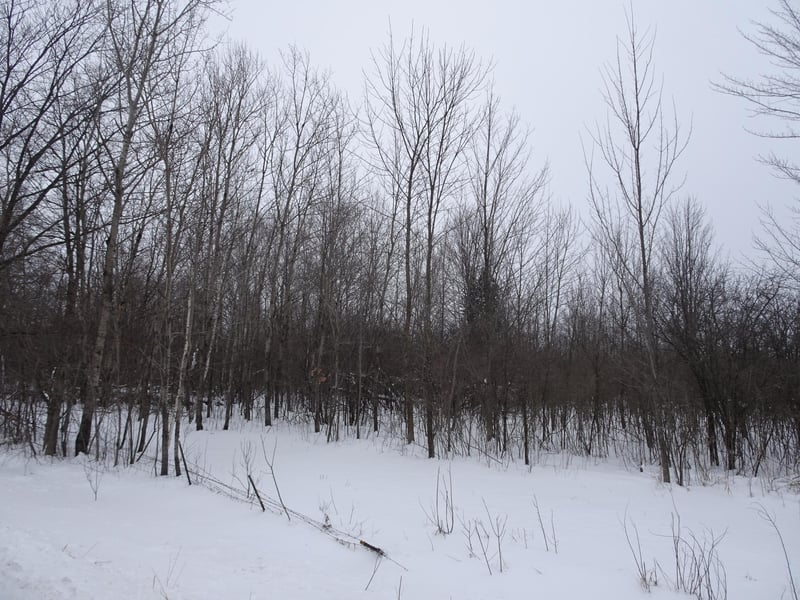 XXX 150th St, Milltown, WI 54858