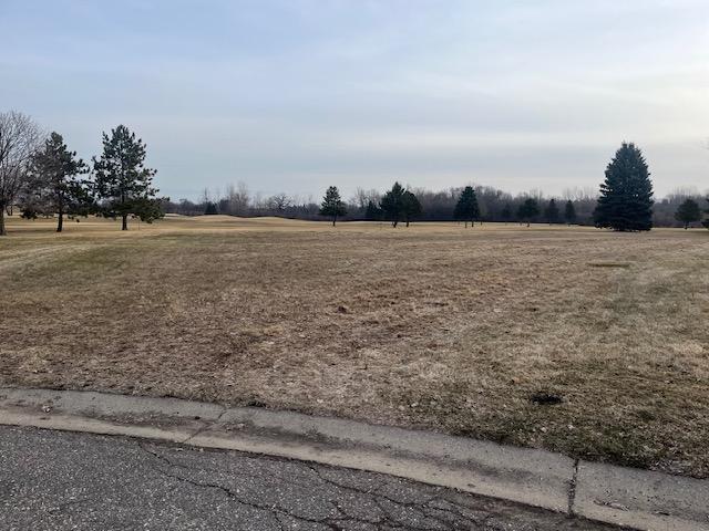 625 Beech Cir S, Annandale, MN 55302