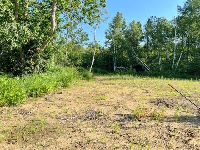 TBD Co Hwy 71, Wadena, MN 56482
