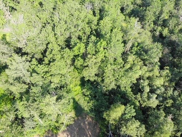 TBD Co Hwy 71, Wadena, MN 56482