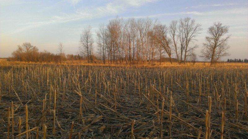 TBD 16 005 0102 Mille Lacs County, Princeton, MN 55371