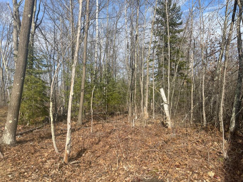 24478 Wooded Cir, Finlayson, MN 55735