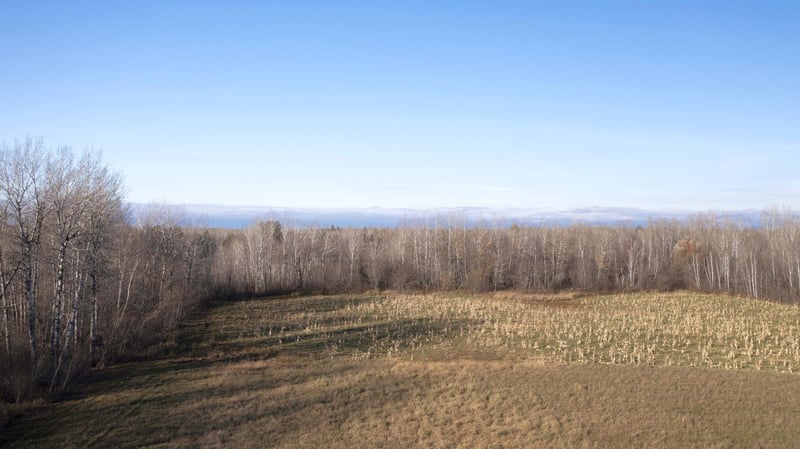11680 County 59 Rd, Orr, MN 55771