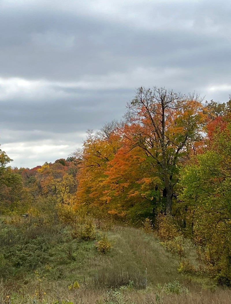 585 W Lake St, Vergas, MN 56587