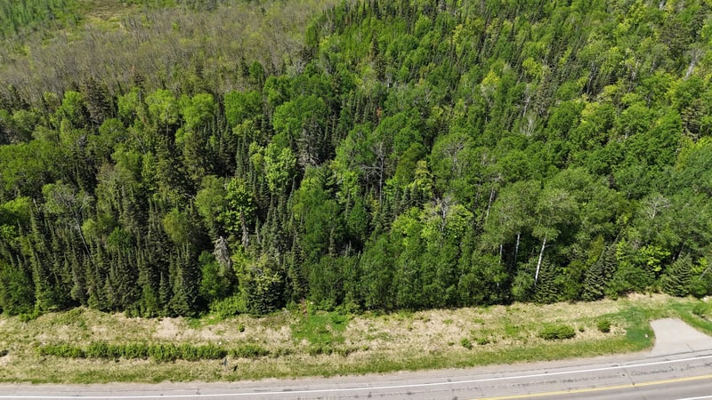 TBD 21 Nett Lake Rd, Orr, MN 55771