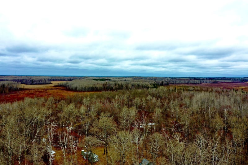 61613 Park Hills Rd, Bruno, MN 55712