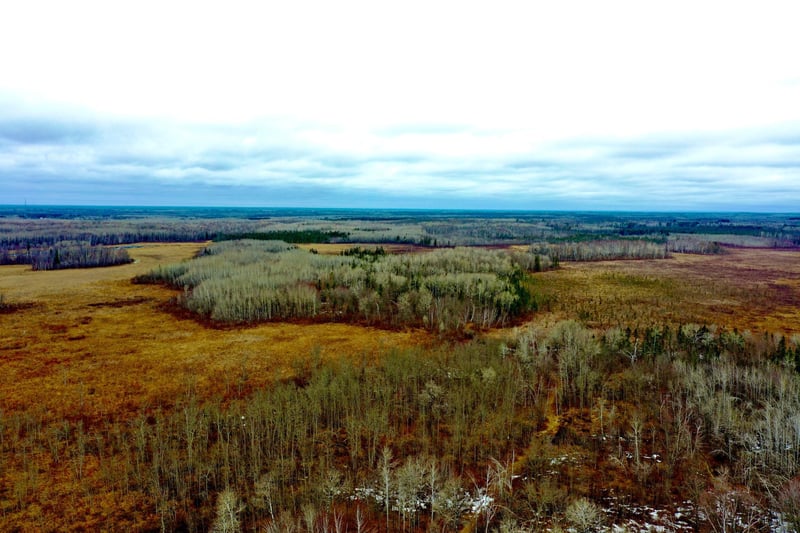 61613 Park Hills Rd, Bruno, MN 55712