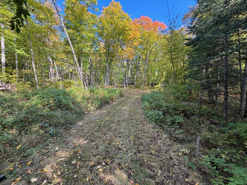 TBD North Sherrys Arm Rd, Grand Rapids, MN 55744