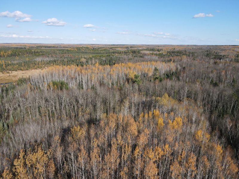 TBD Rice Rapids Rd, Effie, MN 56639