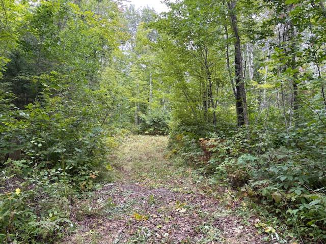 64838 Kingsdale Rd, Sandstone, MN 55072