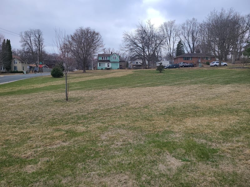 4XX Spring St, Hastings, MN 55033