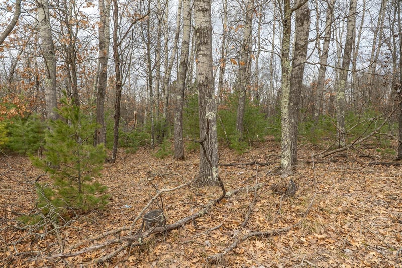 Lot 2 S Madison Ave, Wascott, WI 54838