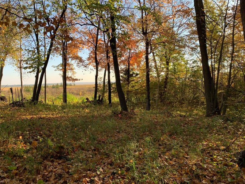 TBD Grouse Loop NW, Walker, MN 56484