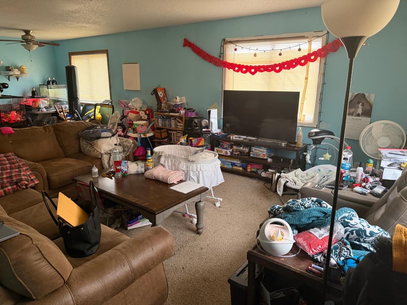 319 Peifer Dr, Litchfield, MN 55355