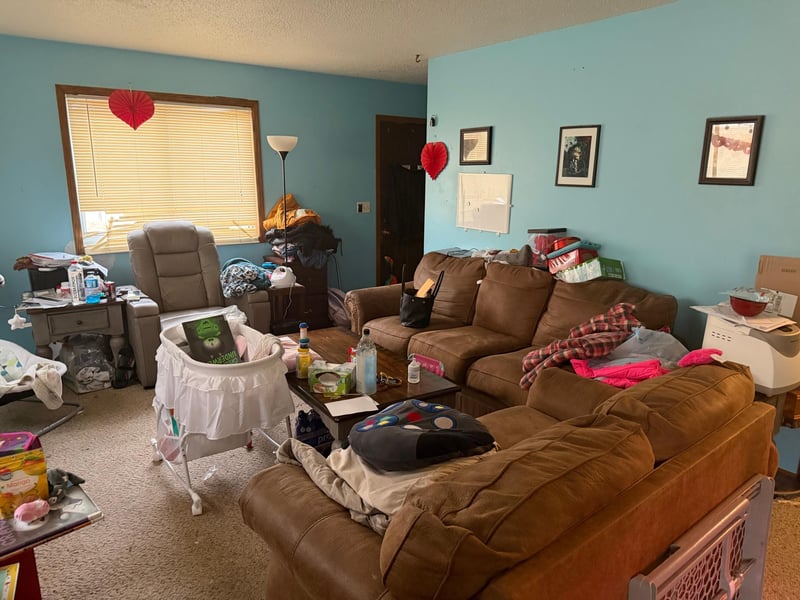 319 Peifer Dr, Litchfield, MN 55355
