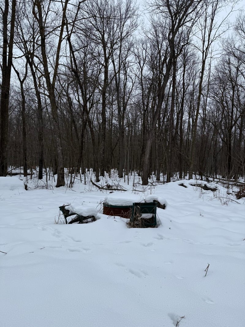 xxx Merlin Rd, Hillman, MN 56338