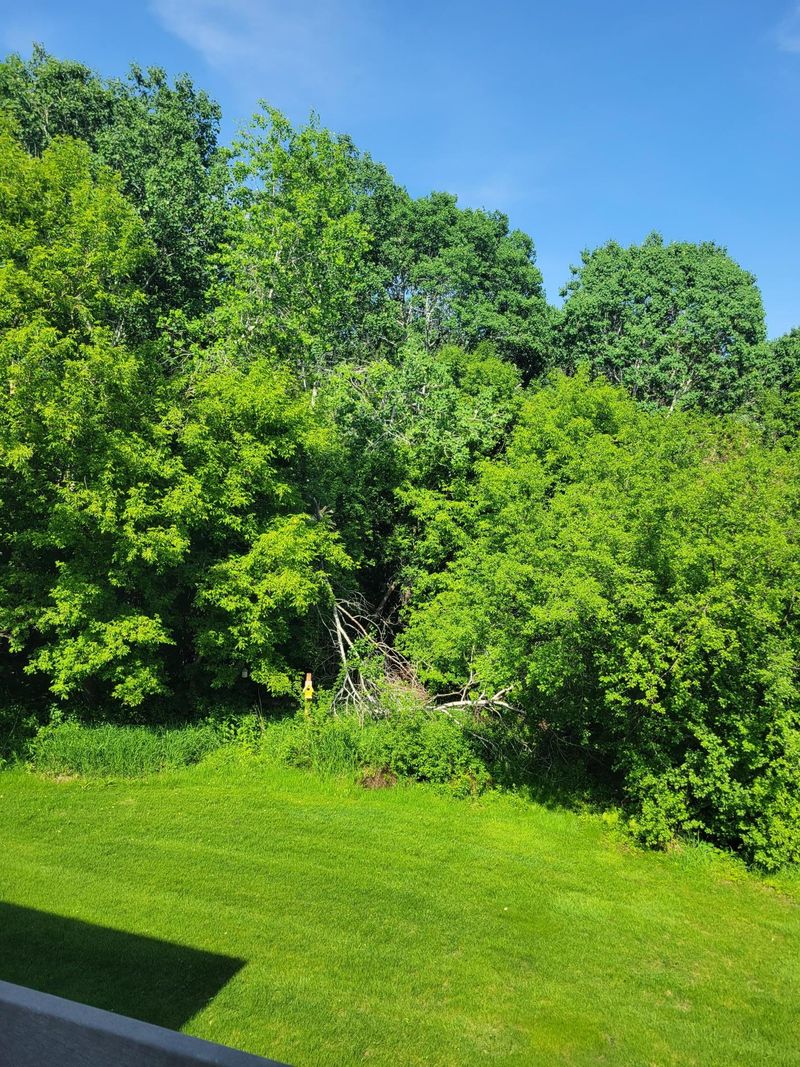 1564 14th St SE, Saint Cloud, MN 56304