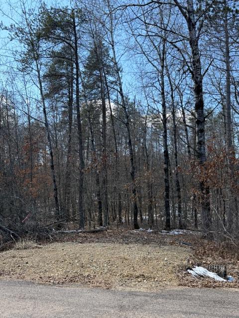 3713 Bay Dr, Webb Lake, WI 54830