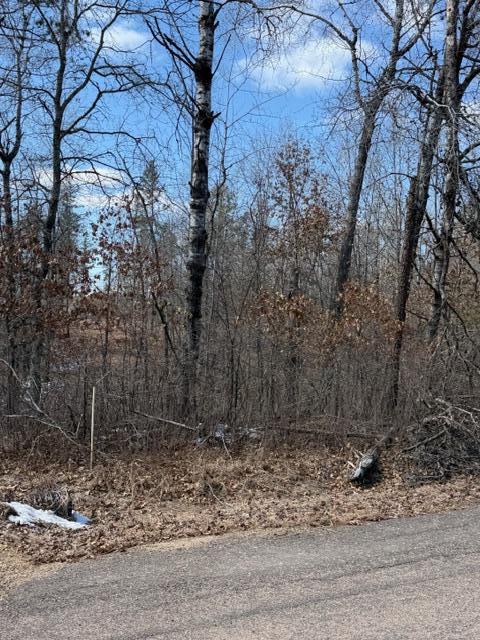 3713 Bay Dr, Webb Lake, WI 54830