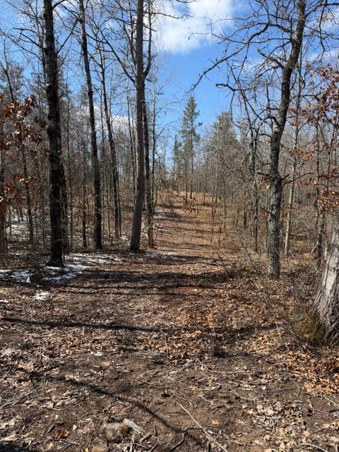 3713 Bay Dr, Webb Lake, WI 54830