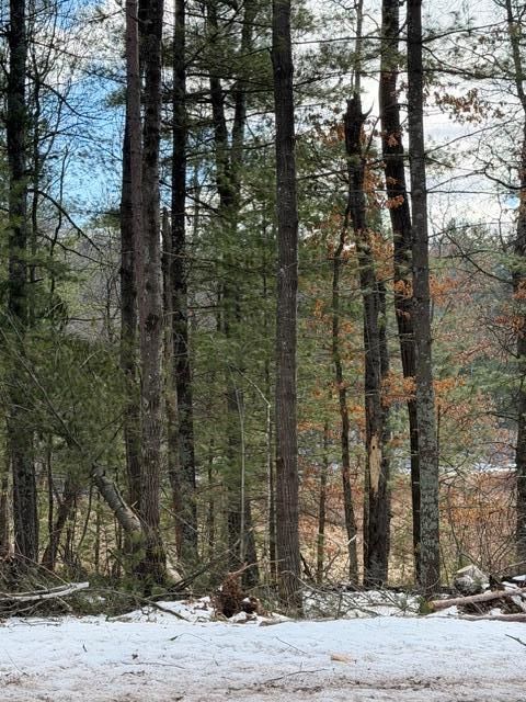 TBD E Long Lake Rd, Danbury, WI 54830