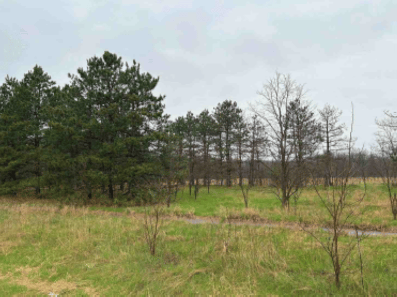 XXX Highway 95, Scandia, MN 55073