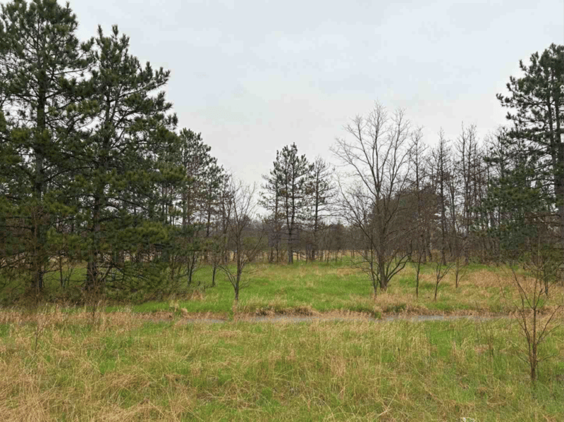 XXX Highway 95, Scandia, MN 55073