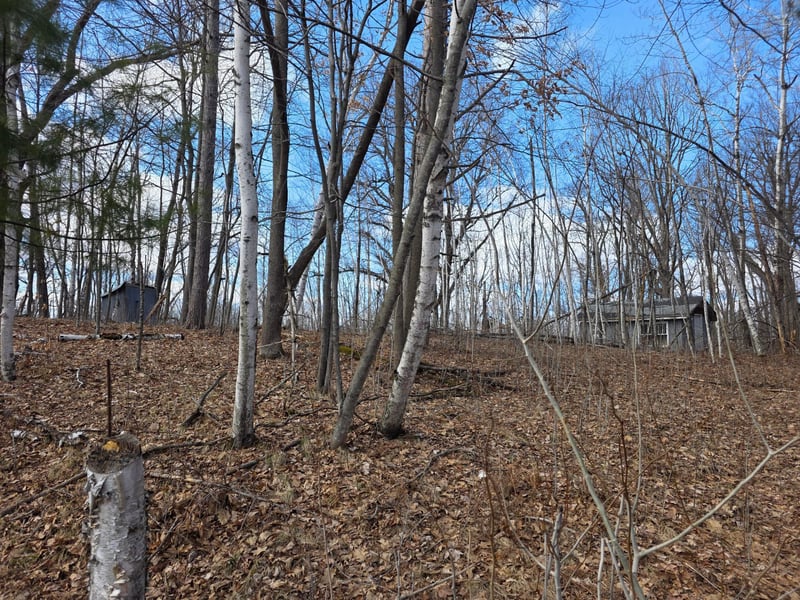 00 Highway W, Weyerhaeuser, WI 54895