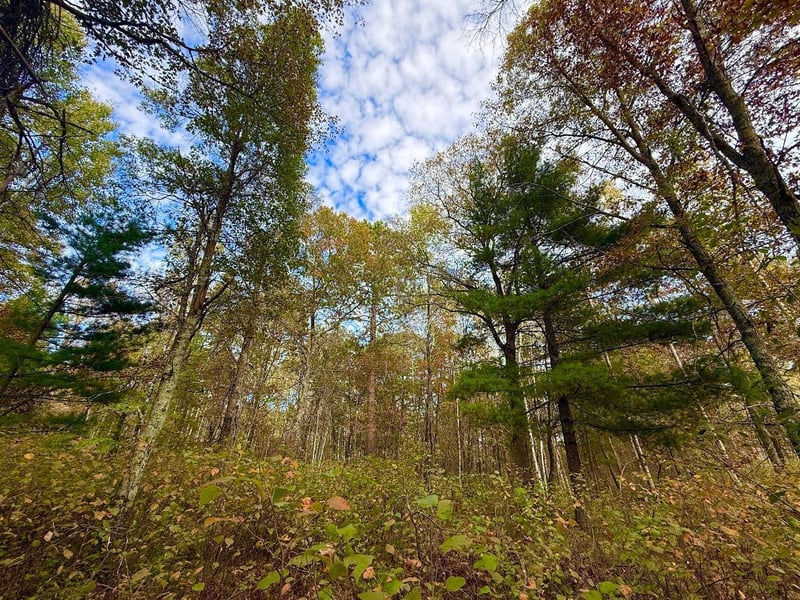 TBD Sunset Valley Rd, Nisswa, MN 56468
