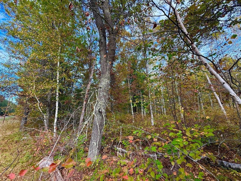 TBD Sunset Valley Rd, Nisswa, MN 56468