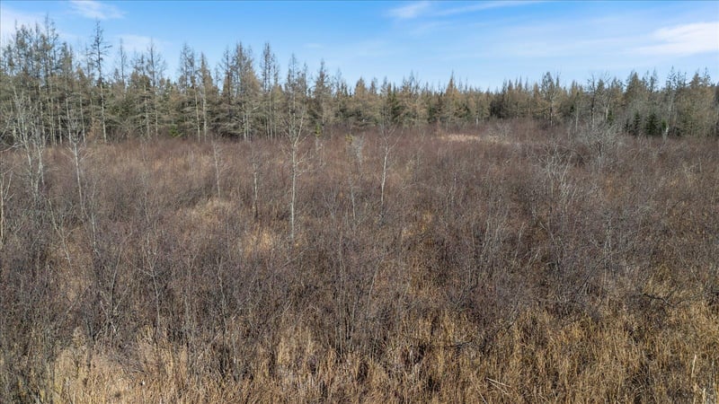 TBD Hill Rd, Cromwell, MN 55726