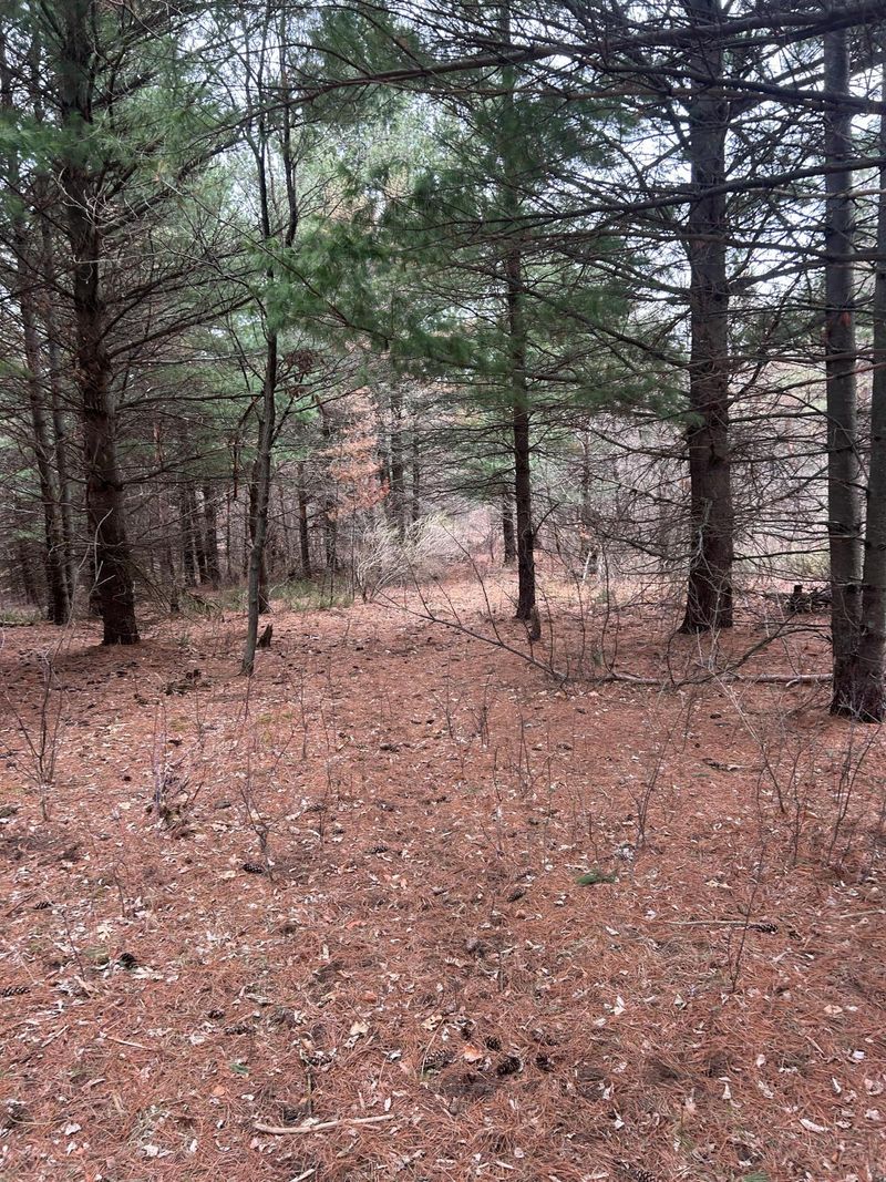 tbd 253rd St NW, Zimmerman, MN 55398
