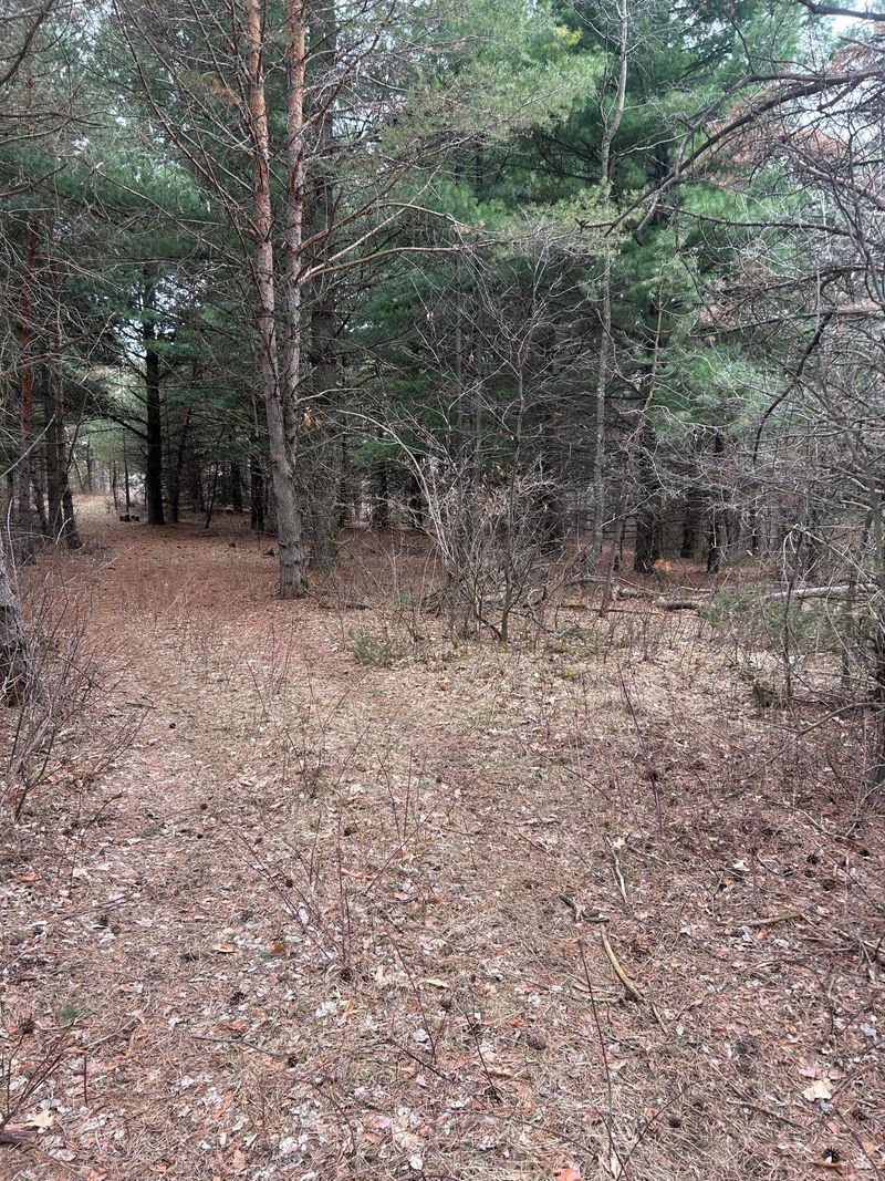 tbd 253rd St NW, Zimmerman, MN 55398