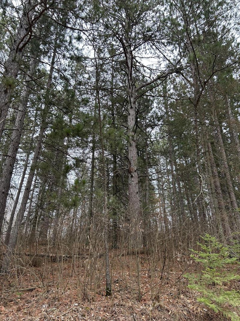 TBD Island Michelle Lee Trl, Park Rapids, MN 56470