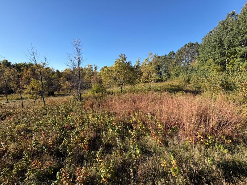 TBD Riverview Pl, Merrifield, MN 56465